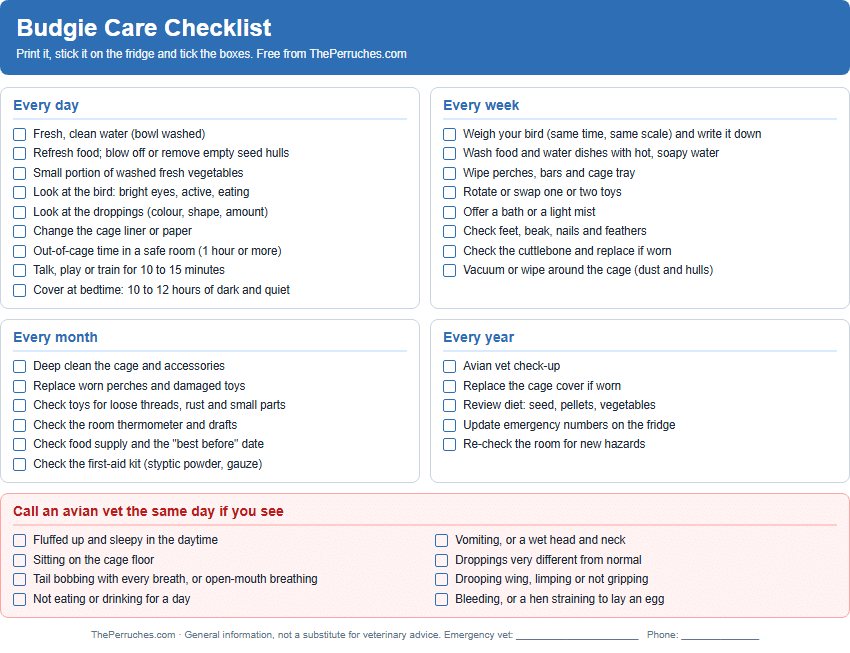 Budgie care checklist preview
